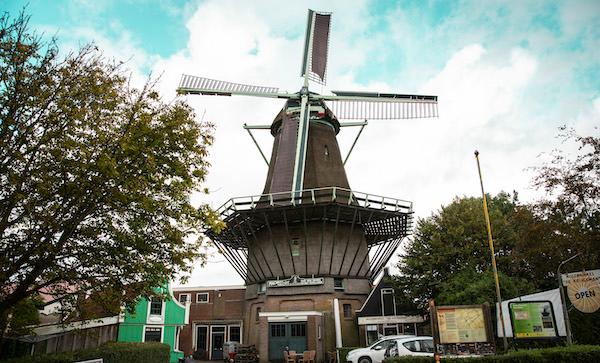 20 ambachtelijke olie-, kwark en/of krentenbollen bij Molen de Krijgsman