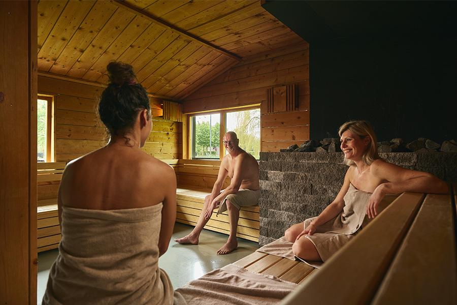 Wellnessresort Zwaluwhoeve dagentree