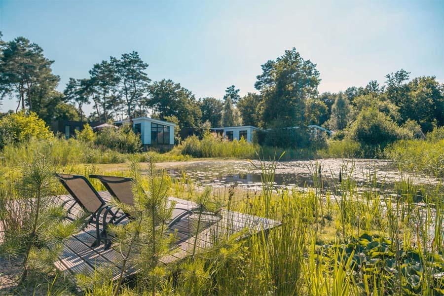 EuroParcs Reestervallei: herfst in Overijssel (4 p.)